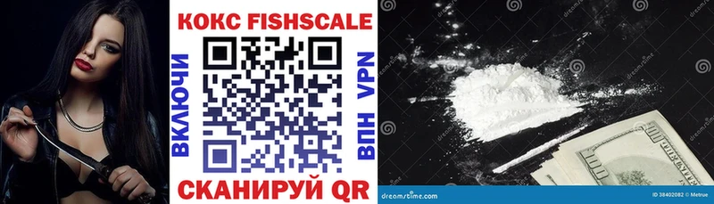 Cocaine FishScale  ссылка на мегу как войти  Гороховец 