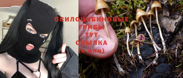 а пвп мука Баксан