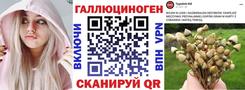 blacksprut маркетплейс  Гороховец  Псилоцибиновые грибы GOLDEN TEACHER  что такое  